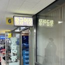 노량진 수산시장 전라상회 예약, 방어 내돈내산 후기