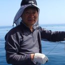 포유콘도 이미지