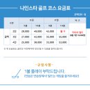 나인스타골프