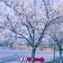 완산체련공원 이미지