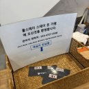 낙동강변로4-30 | 가평 독채 풀빌라 추천｜남이섬 도보·애견동반·바베큐 풀스테이 스테이온 내돈내산 후기