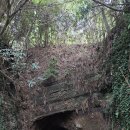 제주 셋알오름 일제 고사포진지 이미지