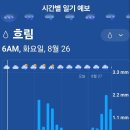 그린월드 이미지