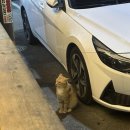 오케이포차1 이미지