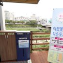 이팝꽃향기작은도서관 이미지