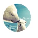 지그엔터테인먼트(주) 이미지