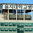 뉴프로셀 이미지