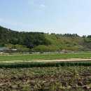 노무현대통령생가 이미지