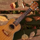 (초보자를 위한) 우쿨렐레 | 초보자를 위한 콘서트 우쿨렐레 선택 가이드 영창 YK-310CM vs. 엔트리급 모델 분석