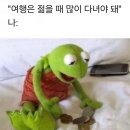 회바라기 이미지