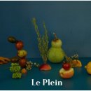 르플랑(Le plein) 이미지