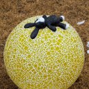 점프(JUMP) 이미지