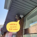 다이소신월우성