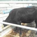 만사농장 이미지