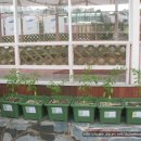 환희어린이집 이미지