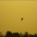 (주)명암에너지 이미지