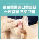 화도동물병원 이미지