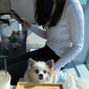 커멍커멍 이미지