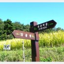 탑골마을 이미지