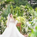 히든포레 이미지