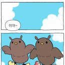 노란부엉이 Daum카페