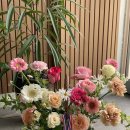 주정차단속-113 이미지