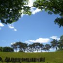 맑은하늘 이미지