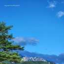 척산시장 | 강원도 속초 효도여행 물 좋은 척산온천휴양촌 숙박과 사우나 후기