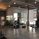 필리스 핏 이미지