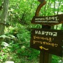 대동IC주유소 이미지