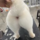 고방동물병원 이미지