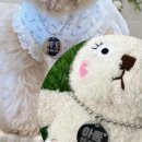 쥬뗌몽슈 이미지