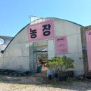 춘봉농장 이미지