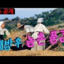 1945년 해방 후의 농촌 풍경 이미지
