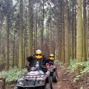 정규코스. 특별코스 | 제주 동쪽 액티비티 데이트 코스 추천 너도나도 ATV 내돈내산 후기