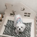 퍼피아뜰리에 이미지