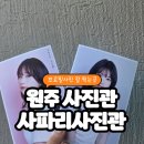 원주사진관 사파리에서 프로필사진 패키지 찍고 온 대만족 후기