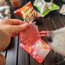 신의주순대와쭈꾸미청학점