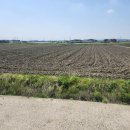 창리부동산중개사무소 이미지