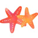 큰집 돼지국밥보쌈 이미지