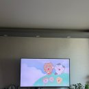 엔젤리너스 진주금호못점 | 피크민 진주 하모 엽서 스팟, 금호못 엔젤리너스, 진주 레터링케이크 미닛케이크(은퇴기념케이크), 페퍼...