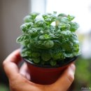 달팽이부엌 이미지