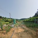 초정공인중개사사무소 이미지