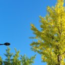 한국교원대학교 대학원 이미지