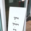 샐리앤샌디