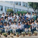 송지중학교 이미지