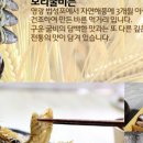 아주조은수산