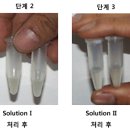 플라스미드(PLASMID)