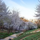 봄꽃체험코스 이미지