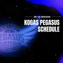 [대구/실내체육관] 한국가스공사 페가수스 프로농구단 홈개막전 안전요원 / 진행요원 모집_10월04일 경기 이미지